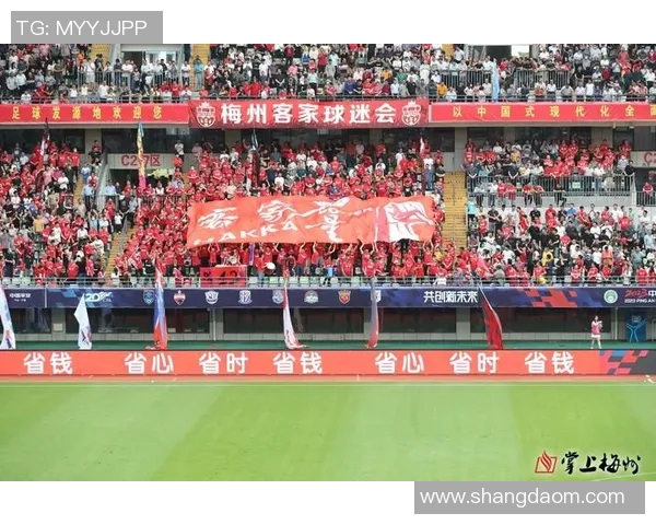 足球明星为球迷送上温暖祝福视频感受激情与梦想的力量